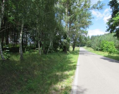 2016 - Przebudowa drogi pow. Nr 1280 N na odcinku od km 5+313,40 do km 6+004,17 wraz z budową ciągu pieszo-rowerowego
