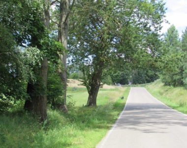 2016 - Przebudowa drogi pow. Nr 1280 N na odcinku od km 5+313,40 do km 6+004,17 wraz z budową ciągu pieszo-rowerowego